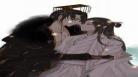 二哈的白猫师尊294