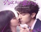 陆少的暖婚新妻TXT下载全集